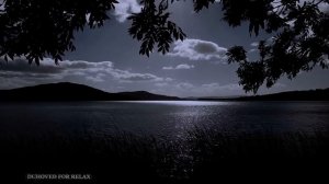 Звуки Ночного Озера, Пение Птиц и Сверчков, Звуки Природы, Релакс для Сна, Медитация