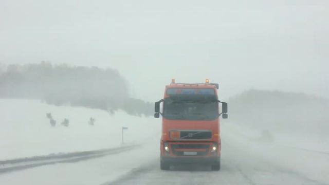 "Это не буран!". Командировка Новосибирск-Белокуриха 14.03.2015 смотреть онлайн