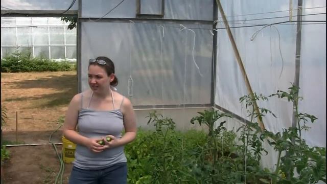 Checking up on Eric's Backyard Greenhouse смотреть онлайн