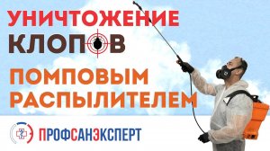 Уничтожение клопов помповым распылителем в квартире