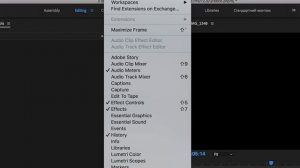 Как отменить действие в Adobe Premier Pro? (панель История)