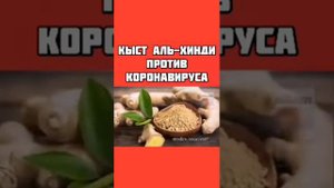 Кыст Ал-хинди против вируса #ARI95