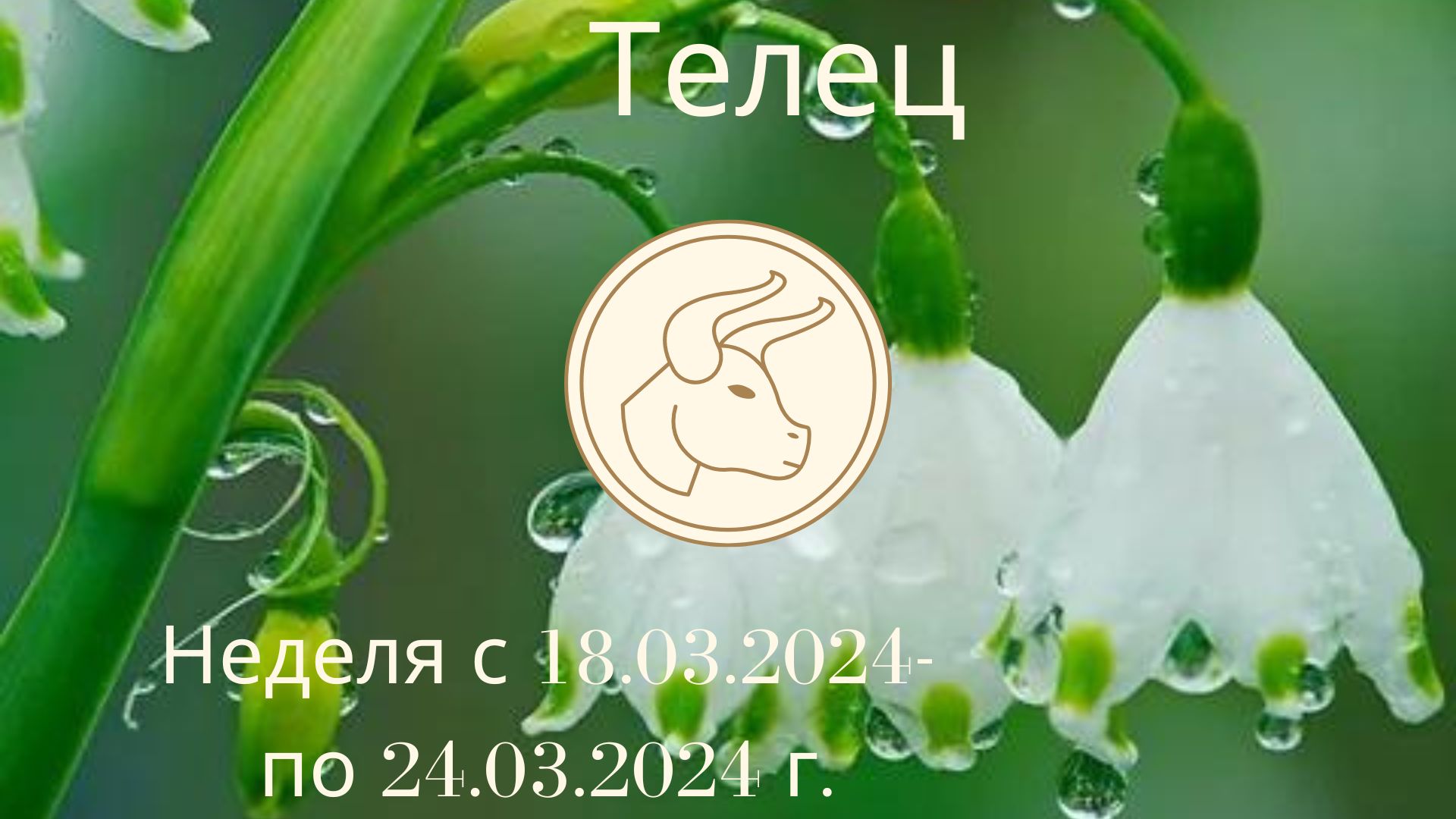 Телец. Гороскоп на неделю с 18 марта по 24 марта 2024 года.