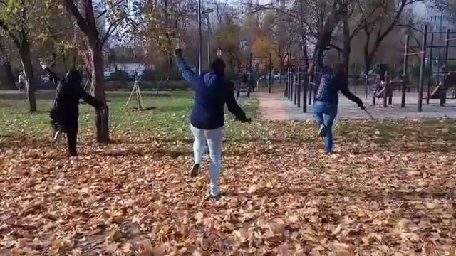 Тайцзи. Цигун. Занятия тайцзи в Перовском парке с мая по октябрь