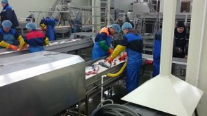 ООО "Дельта Фиш ЛТД"