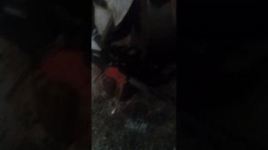 китайская Бензопила Пит 4516 реальный расход бензина и немного о ремонте