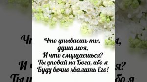 Как лань желает к потокам воды - христианская песня.