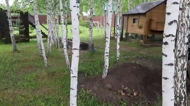 Мини курятник своими руками на 5, 10, 15 кур