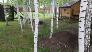 Мини курятник своими руками на 5, 10, 15 кур