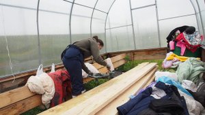 Обработка древесины биозащитой.