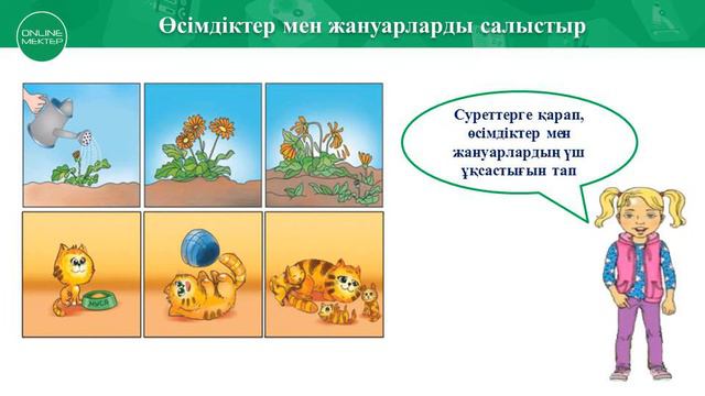 1 сынып. Жаратылыстану №7 сабақ