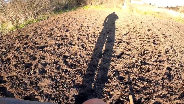 Высев моркови сеялкой ручной. Sowing carrots with a manual seeder. смотреть онлайн