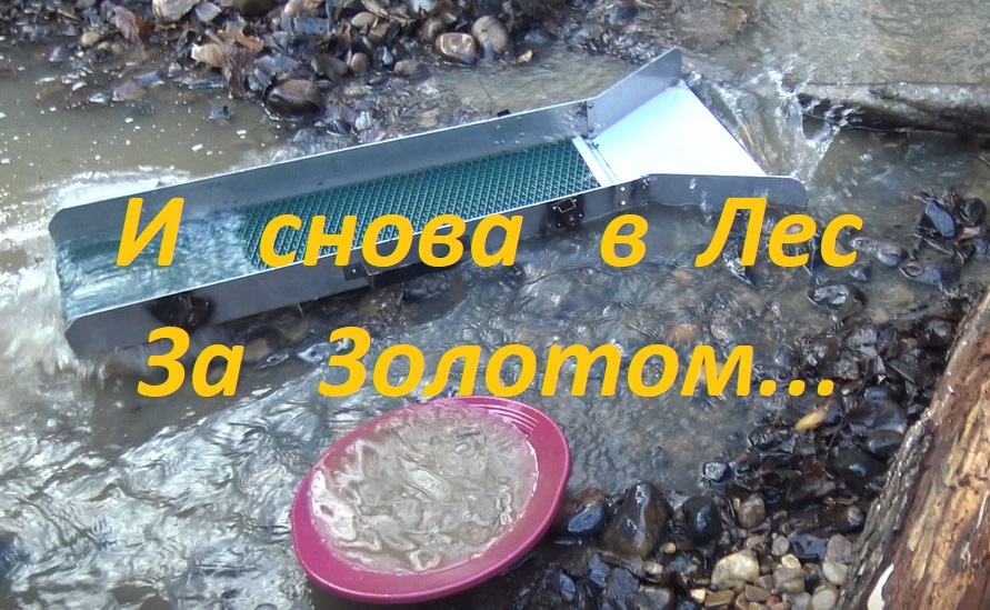 И снова в Лес за золотом. Часть 1. смотреть онлайн