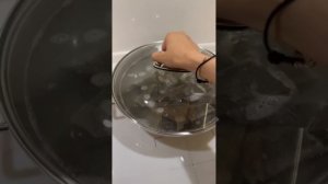 СЕГОДНЯ ГОТОВЛЮ ГУБЕРНАТОРЫ? ИЗ ДРОЖЖЕВОГО ТЕСТА ?