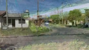 Растут ли березки в Южной Америке?