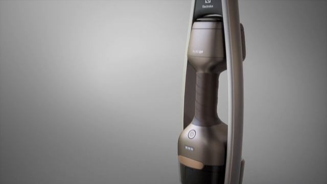 Пылесос Electrolux PQ91-50MB смотреть онлайн