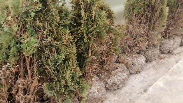 Готовлю перед работой! Неудачная закупка в Вайлдберриз. Английский за 20 минут.