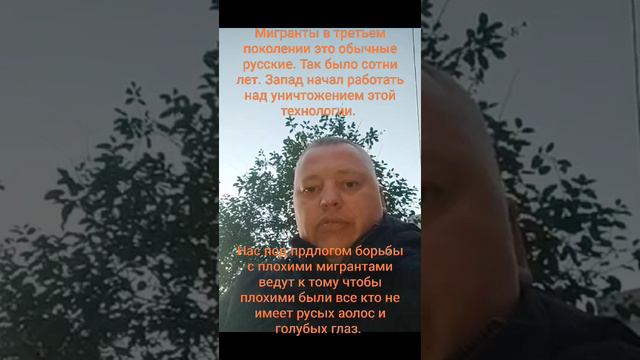 О мигрантах