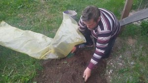 Малообъемка клубники. Рукав для клубники из пленки.
