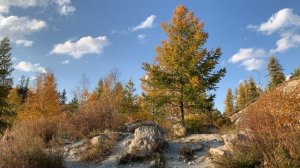 Перевал Чике-Таман, Республика Алтай