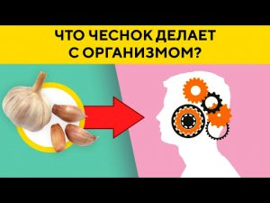 Что Будет с Организмом, Если Есть ЧЕСНОК Каждый День