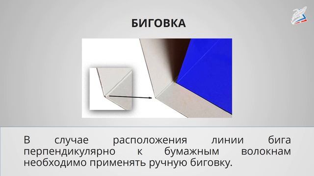 Можно ли сгибать картон? Как? Проектное задание «Африканская саванна»