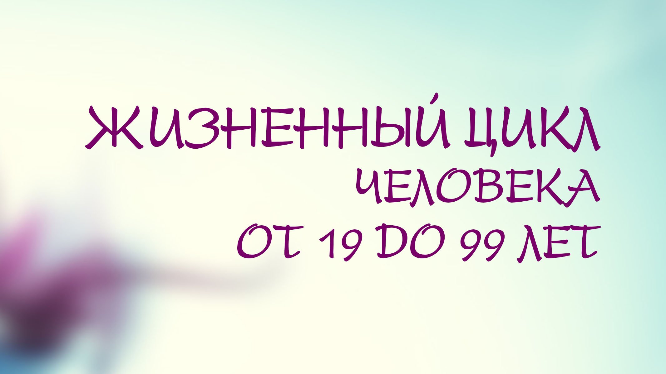 PT208 Rus 14. Совместный поиск решения. Жизненный цикл человека от 19 до 99 лет.