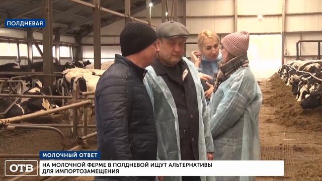 На молочной ферме в Полдневой ищут альтернативы для импортозамещения