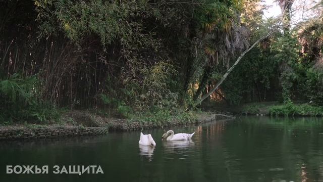 Божья защита. Глава 31 часть 4