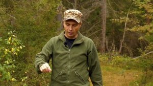 Сравнение антенн анализатором спектра и генератором. Антенны на авиадиапазон.