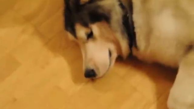 Мишель и Скай смотреть онлайн