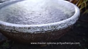 УБЕРИ БЛОКИ НА ДЕНЬГИ В СВОЕМ СОЗНАНИИ I Шаг к деньгам 1