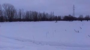 BRP TUNDRA WT 550 ныряем в сугроб