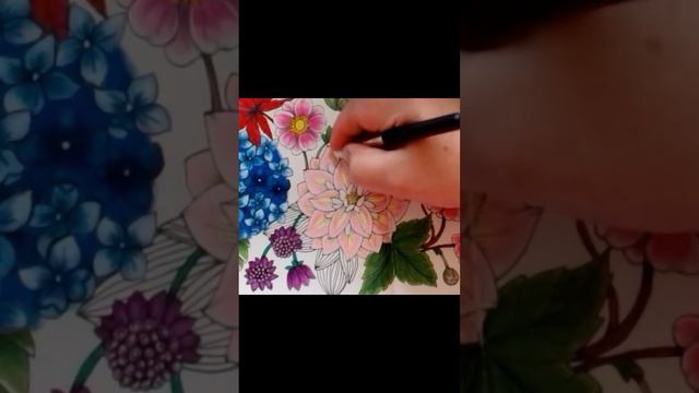 DAHLIA 2 - HOW TO COLOUR #coloring #colouring #adultcoloringchannel #coloringflowers #mariatrolle смотреть онлайн
