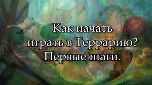 №2 Как начать играть в Террарию_ Первые шаги..mp4