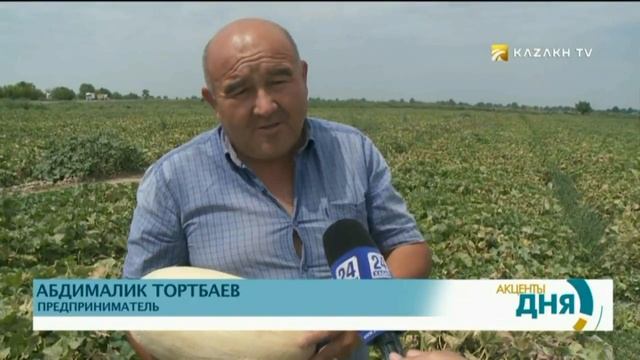 КАЗАХСТАНСКИЕ ДЫНИ И АРБУЗЫ В ЛАТВИИ, БЕЛАРУСИ И РОССИИ смотреть онлайн