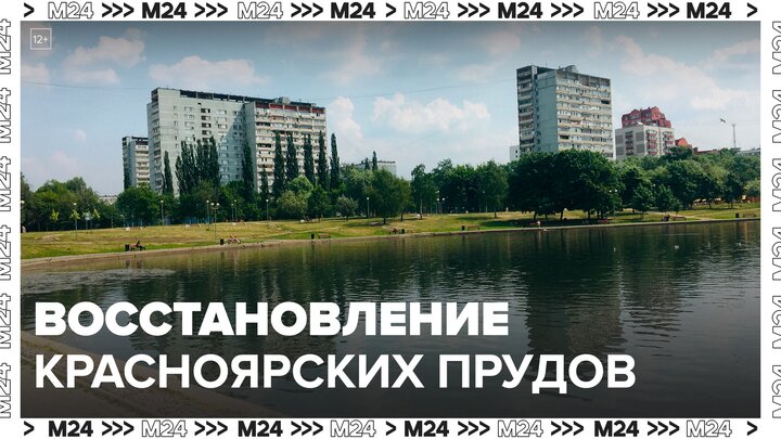 Красноярские пруды начали восстанавливать в Гольянове - Москва 24