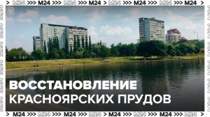Красноярские пруды начали восстанавливать в Гольянове - Москва 24