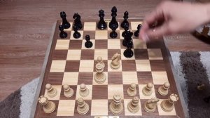 Шахматы. Ловушка для быстрых шахмат. Полезно выучить начинающим шахматистам.