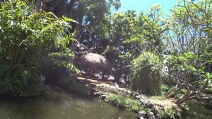 Бали парк птиц 2019