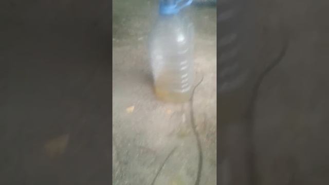 Как почистить бензобак от вады не открывая его