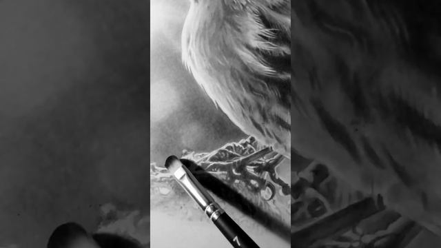 #Shorts Фотореализм карандашом.Рисунок птички./Photorealism in pencil. Bird drawing.