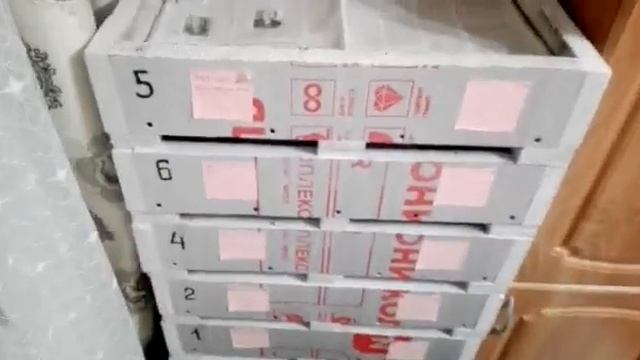 Коконы Дендробены в Магнитогорске. Заселение. смотреть онлайн