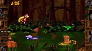 На кухне: Donkey Kong Country 2 - Diddy's Kong Quest (часть 1)