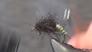 вязание мушек ручейник сухой