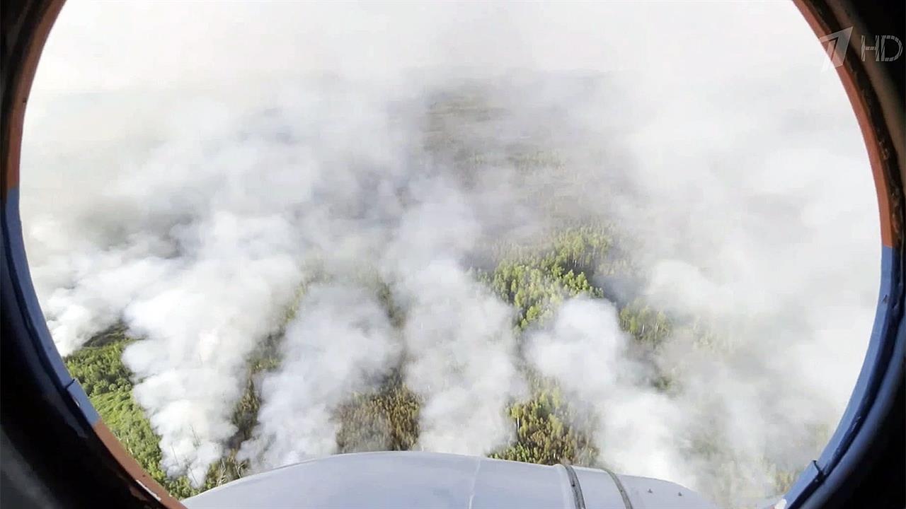 Площадь природных пожаров в Рязанской области достигла 17 тысяч гектаров
