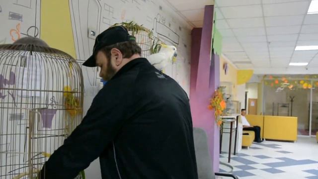 Экскурсию по выставке проводит  директор выставки Юрий Склифос. смотреть онлайн