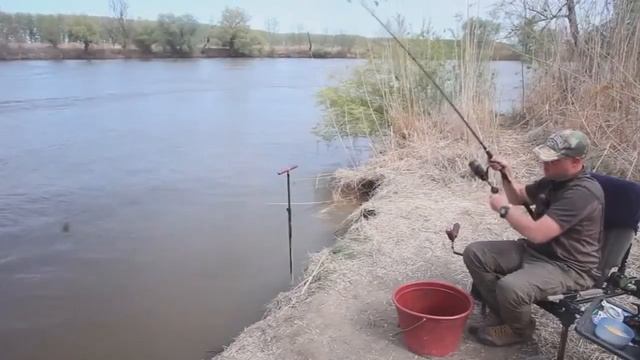 Фидерная оснастка Патерностер Английская донка с Алексеем Фадеевым смотреть онлайн