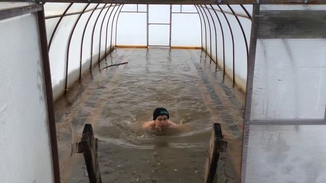 Субботний заплыв. смотреть онлайн