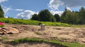 ЗВЕРОЛАГЕРЬ ЕДЕТ НА РЕЧКУ! С КОТОМ ВХОД РАЗРЕШЁН! ЖАРИМ СОСИСКИ НА ОГНЕ И КУПАЕМСЯ